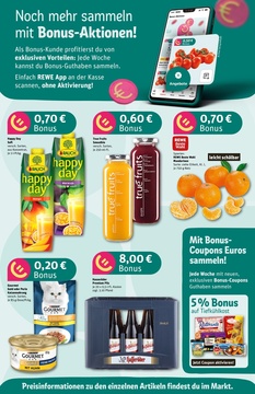 REWE Prospekt - Angebote ab 17.03.