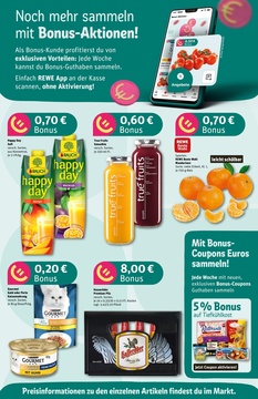 REWE Prospekt - Angebote ab 17.03.