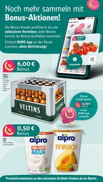 REWE Prospekt - Angebote ab 07.04.
