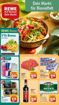 REWE Prospekt - Angebote ab 22.04.