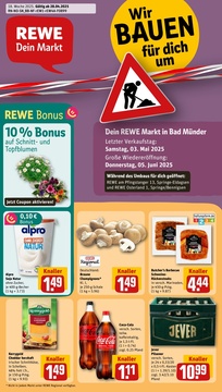 REWE Prospekt - Angebote ab 28.04.
