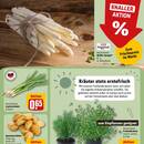 REWE Prospekt Seite 7