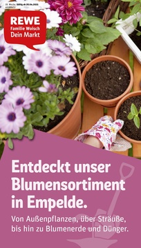 REWE Prospekt - Angebote ab 28.04.