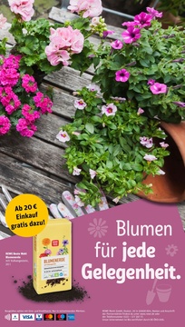 REWE Prospekt - Angebote ab 28.04.