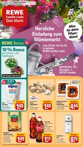 REWE Prospekt - Angebote ab 28.04.