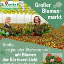 REWE Prospekt Seite 2