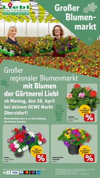 REWE Prospekt - Angebote ab 28.04.