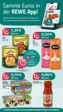 REWE Prospekt - Angebote ab 12.05.