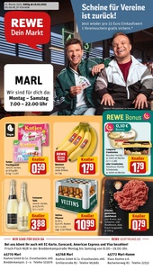 REWE Prospekt - Angebote ab 19.05.