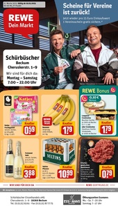 REWE Prospekt - Angebote ab 19.05.