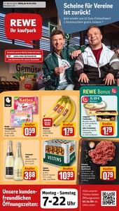 REWE Prospekt - Angebote ab 19.05.