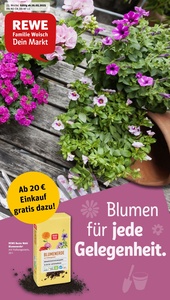 REWE Prospekt - Angebote ab 26.05.