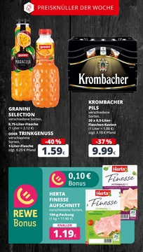 REWE Prospekt - Angebote ab 02.06.