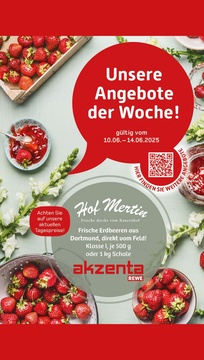 REWE Prospekt - Angebote ab 10.06.