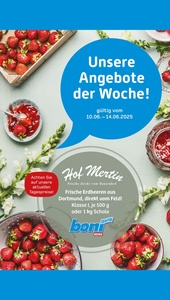 REWE Prospekt - Angebote ab 10.06.