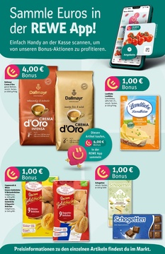 REWE Prospekt - Angebote ab 09.06.