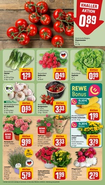 REWE Prospekt - Angebote ab 09.06.