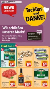 REWE Prospekt - Angebote ab 09.06.