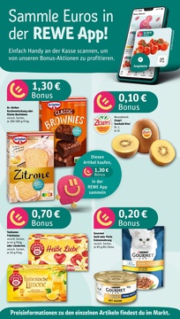 REWE Prospekt - Angebote ab 16.06.