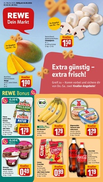 REWE Prospekt - Angebote ab 16.06.
