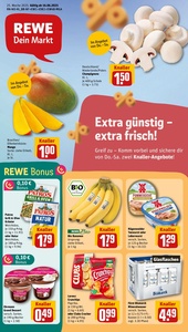 REWE Prospekt - Angebote ab 16.06.