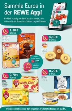 REWE Prospekt - Angebote ab 16.06.
