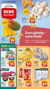 REWE Prospekt - Angebote ab 16.06.
