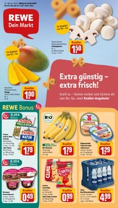 REWE Prospekt - Angebote ab 16.06.