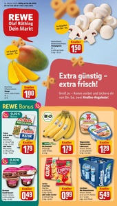 REWE Prospekt - Angebote ab 16.06.