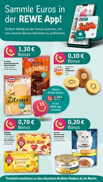 REWE Prospekt - Angebote ab 16.06.