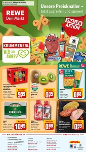 REWE Prospekt - Angebote ab 30.06.