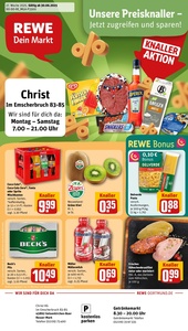 REWE Prospekt - Angebote ab 30.06.