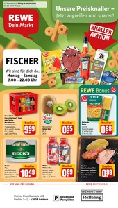 REWE Prospekt - Angebote ab 30.06.