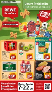 REWE Prospekt - Angebote ab 30.06.