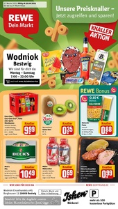 REWE Prospekt - Angebote ab 30.06.