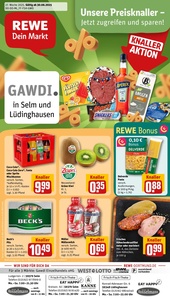 REWE Prospekt - Angebote ab 30.06.