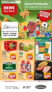 REWE Prospekt - Angebote ab 30.06.