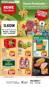 REWE Prospekt - Angebote ab 30.06.