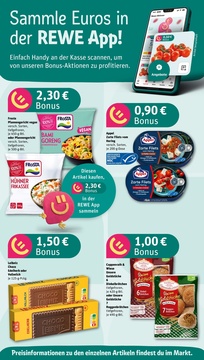 REWE Prospekt - Angebote ab 30.06.