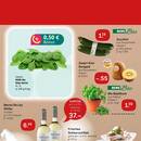 REWE Prospekt Seite 3