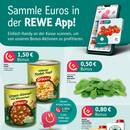 REWE Prospekt Seite 2