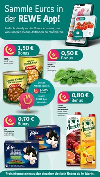 REWE Prospekt - Angebote ab 07.07.