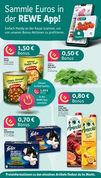 REWE Prospekt - Angebote ab 07.07.