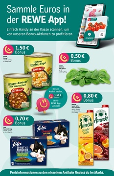 REWE Prospekt - Angebote ab 07.07.