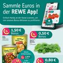 REWE Prospekt Seite 2