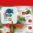 REWE Prospekt Seite 3