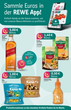 REWE Prospekt - Angebote ab 14.07.