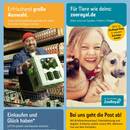 REWE Prospekt Seite 2