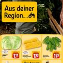 REWE Prospekt - Wein