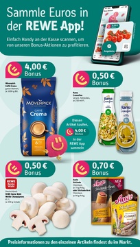REWE Prospekt - Angebote ab 28.07.